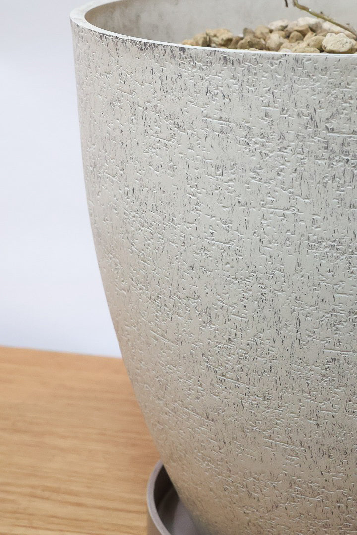 【フィカス ルビー】今回はBIGサイズ！軽量で扱いやすい樹脂製のPOTです！とにかく葉色が抜群！ここまで発色が良いものはレアですよ！