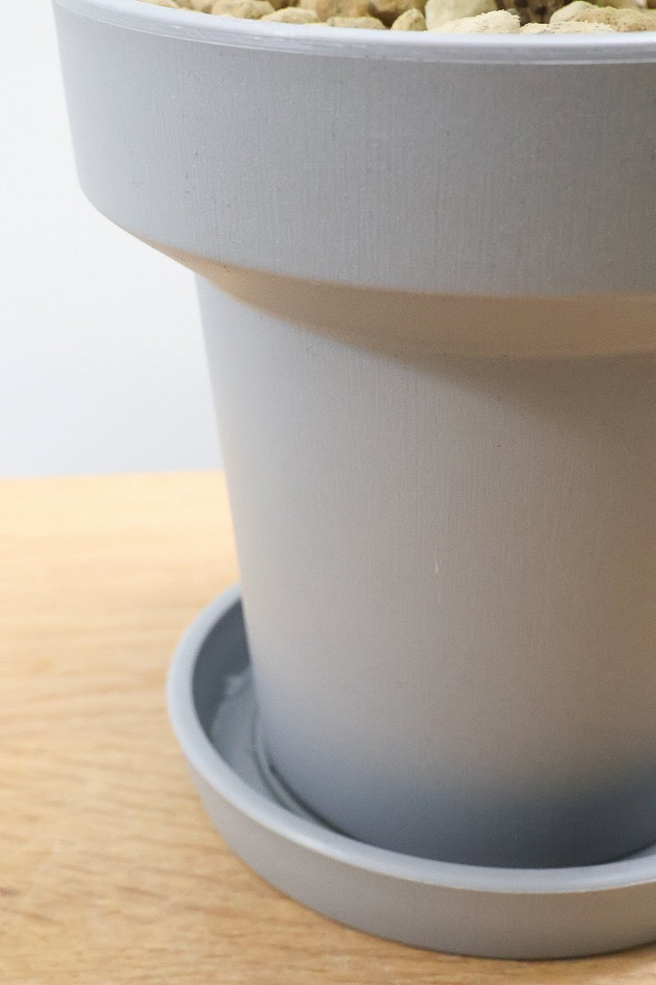 【ポリシャス フルティコーサ】軽量な樹脂製のPOT！初めて植物を育てる方にも安心の価格設定にしました！春からの新生活にいかがでしょうか？