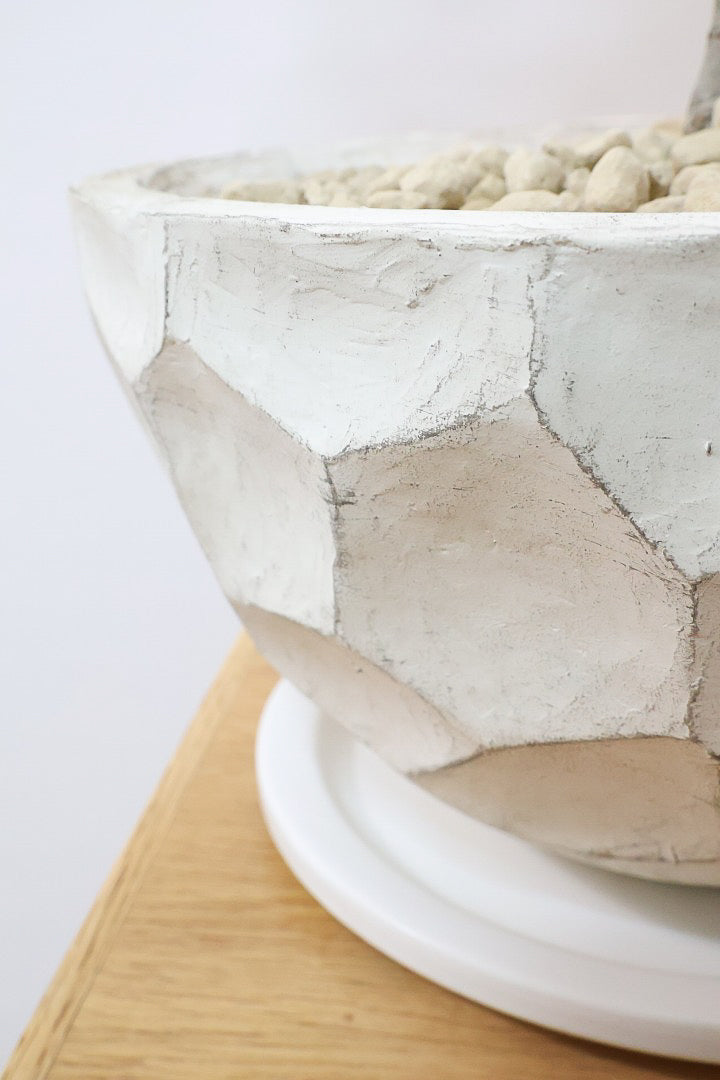 【オリーブ】オリーブの名産地の小豆島でしっかりと作られました！幹はかなり太く年季を感じます！