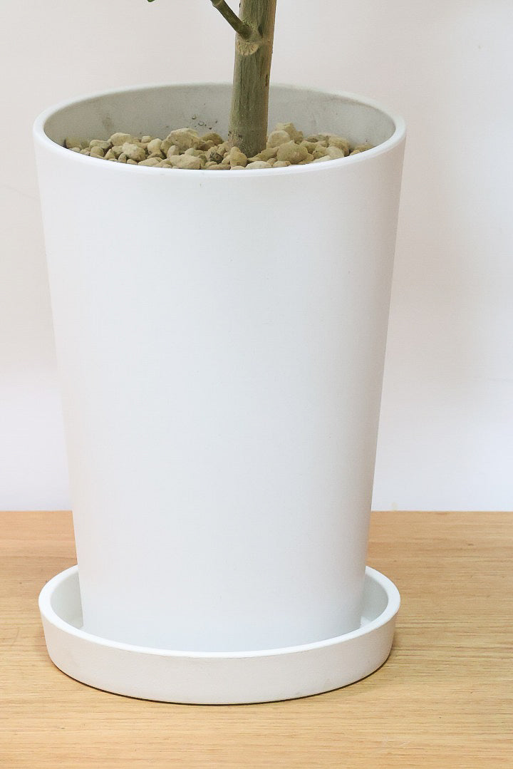 【ウンベラータ】軽量なポリプロピレン製のPOT！こんなにボリュームがあるのにお求めやすい価格でのご提案です！