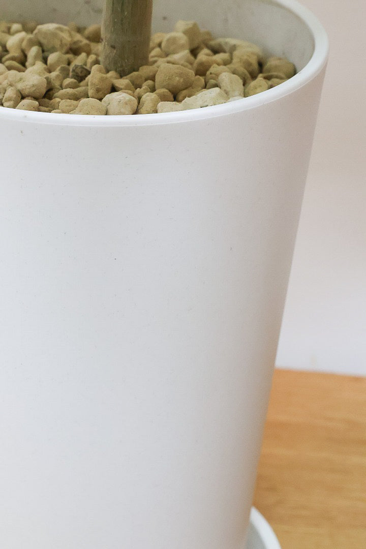 【ウンベラータ】軽量なポリプロピレン製のPOT！こんなにボリュームがあるのにお求めやすい価格でのご提案です！