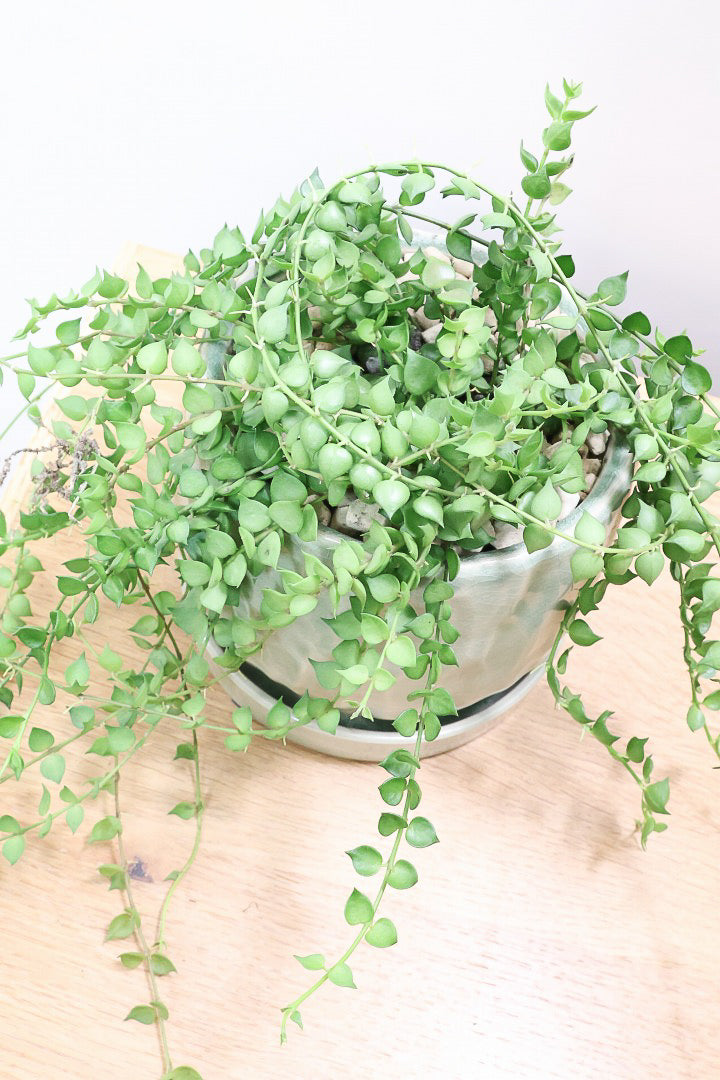 【ディスキディア ミリオンハート グリーン】超ロング！ここまで長いものはなかなか入荷しませんのでぜひご検討ください！