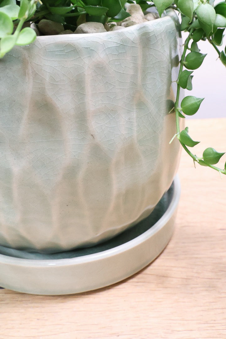 【ディスキディア ミリオンハート グリーン】超ロング！ここまで長いものはなかなか入荷しませんのでぜひご検討ください！