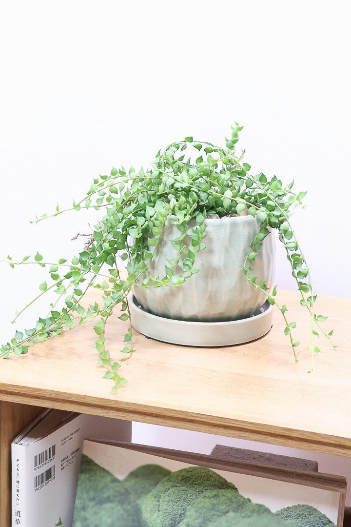 【ディスキディア ミリオンハート グリーン】超ロング！ここまで長いものはなかなか入荷しませんのでぜひご検討ください！