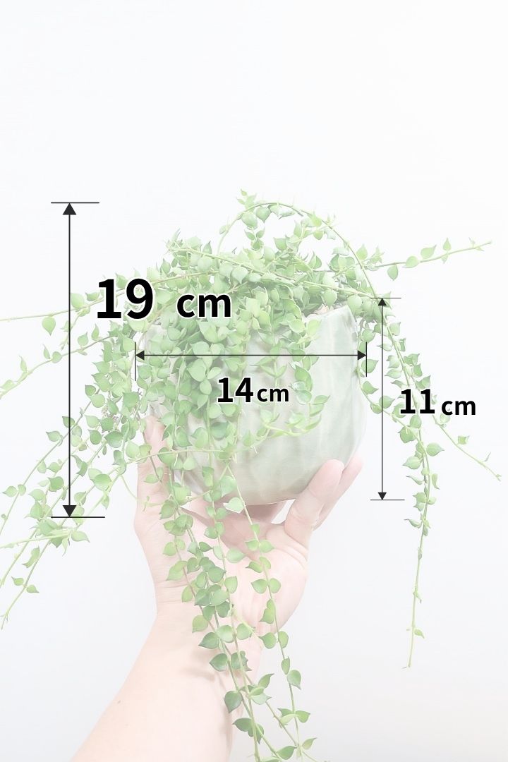 【ディスキディア ミリオンハート グリーン】超ロング！ここまで長いものはなかなか入荷しませんのでぜひご検討ください！