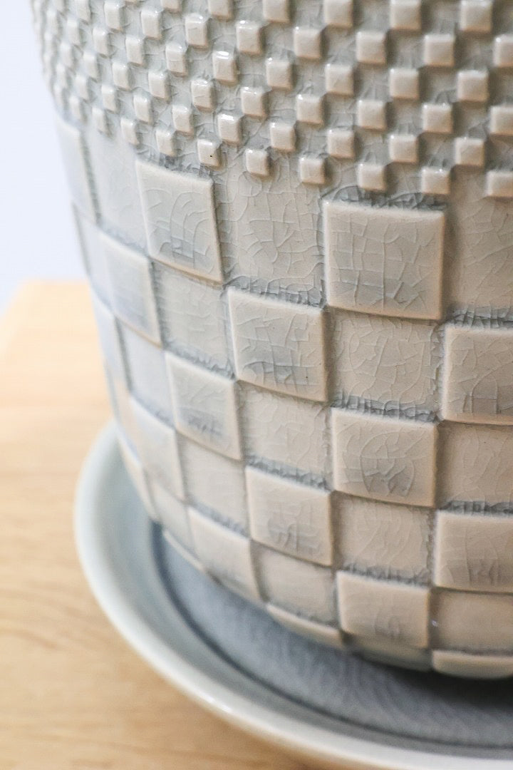 【マミラリア 希望丸】シンプルな樹形！サボテンの中でも人気の高いホワイト系！傷もなく上質な逸品ですよ！