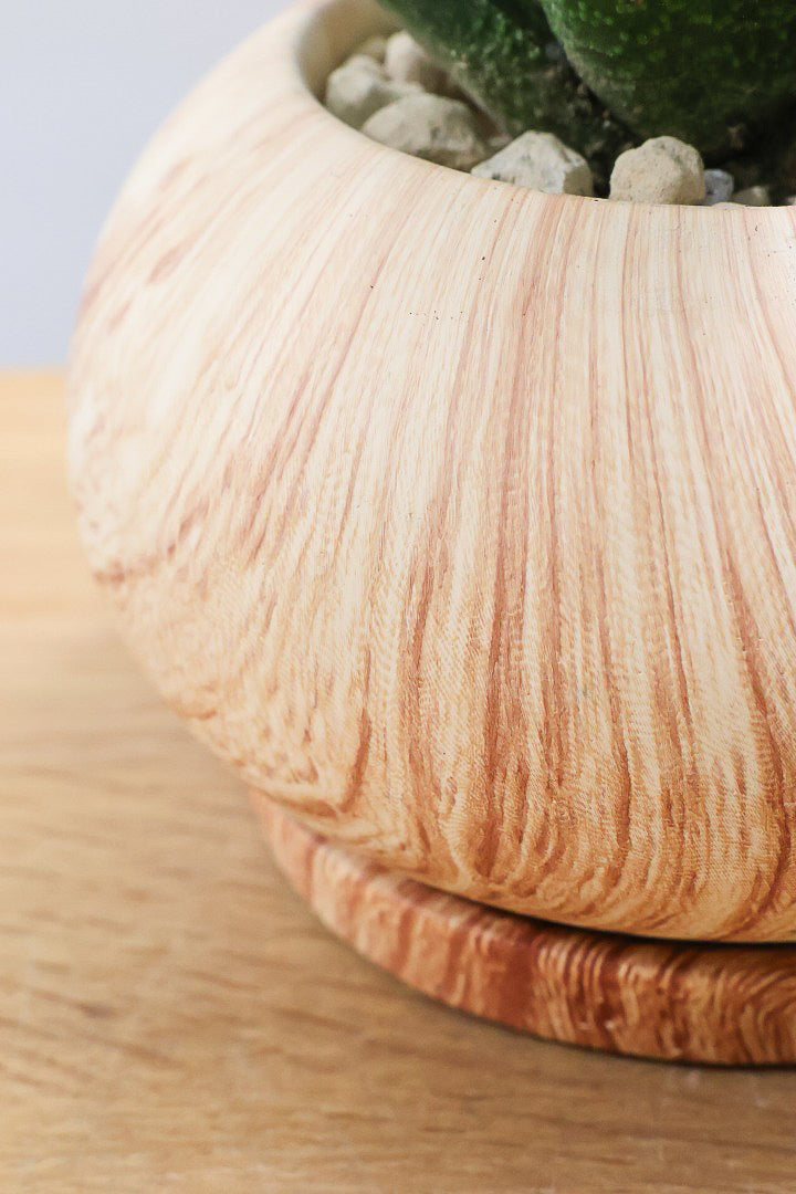 【ガステリア ジムフローラ】人気の木目調のPOT♪葉の質感はぷにぷにしていてかわいい！ボリュームあります！