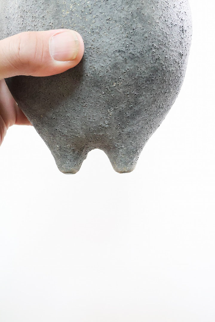 【サンスベリア ボンセレンシス】かわいい脚付きのPOTです♪扇状に生長するフォルムがカッコいいボンセレンシス！POTとの相性もGOOD！