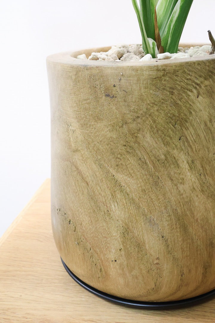 【モンステラ タイコンステレーション】人気の木製POTに植え込みました！お手頃なサイズ感ですので様々なシーンで活躍してくれます！