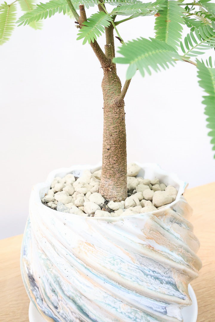 【エバーフレッシュ】全高47cmのかわいいサイズ感！シンプルだけど程よいサイズ感！このPOTはとっても人気なんです！