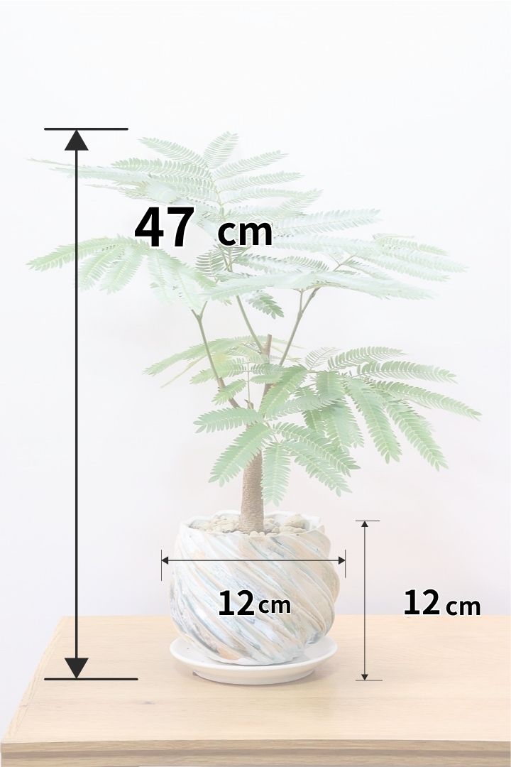 【エバーフレッシュ】全高47cmのかわいいサイズ感！シンプルだけど程よいサイズ感！このPOTはとっても人気なんです！