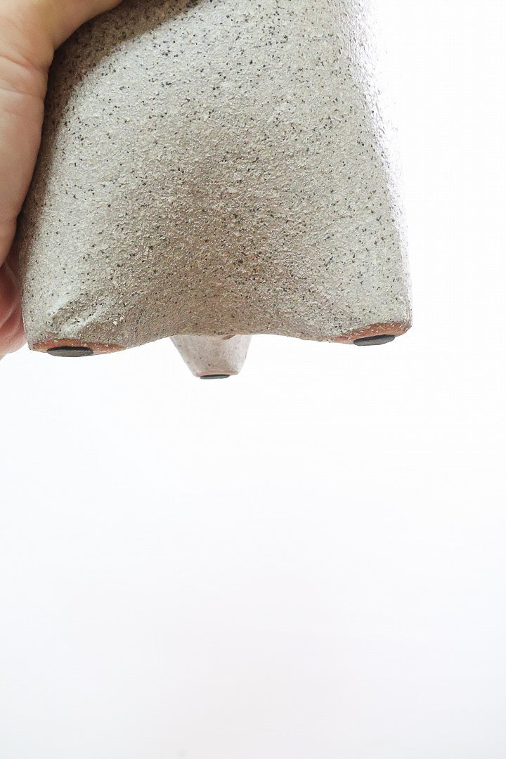 【ホヤ リップカラー】全高25cm！仕入れの時に見つけてきました！この葉色は唯一無二！長いツルが素敵な美しい個体です