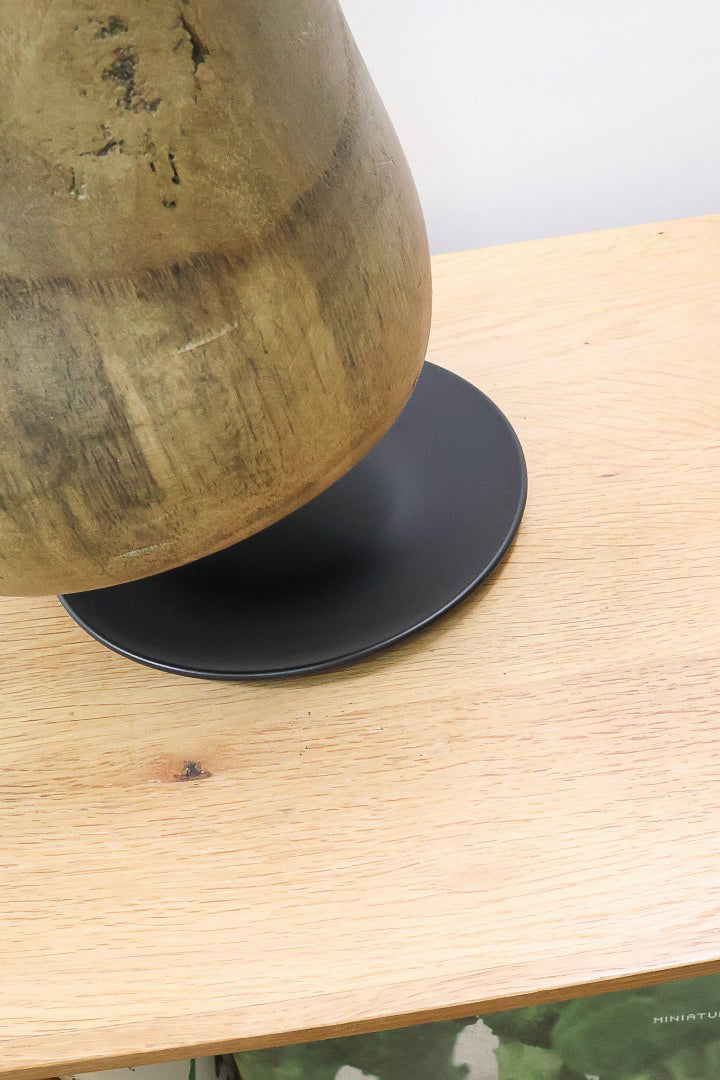【モンステラ タイコンステレーション】全高60cm！人気の木製POTに植え込みました！今回の葉の模様は極上ですよ！