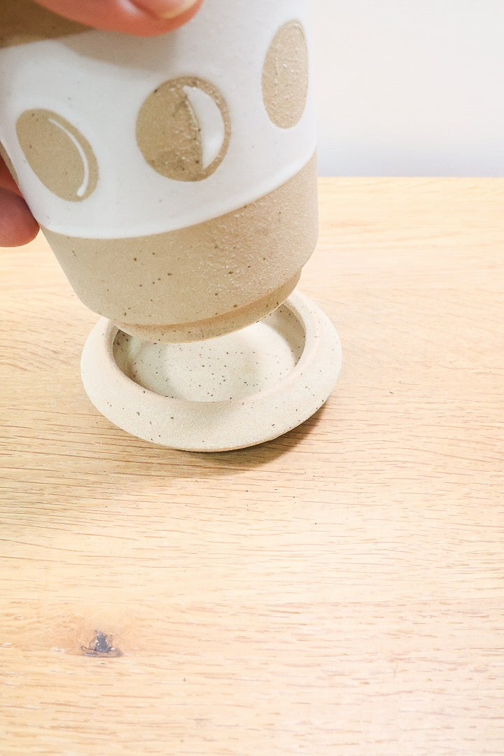 【ザミア フロリダーナ】高さ28センチのかわいいサイズ！温暖な沖縄で生産されました！新作のかわいいPOTです♪このサイズはあまり見かけないので、ぜひともご検討ください！