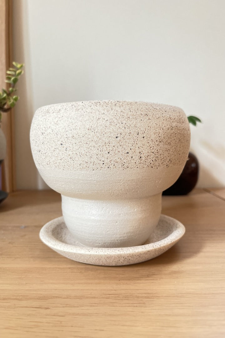 宝石のような観葉植物のお店 【Jewelry Plant】 陶器鉢 3.5号