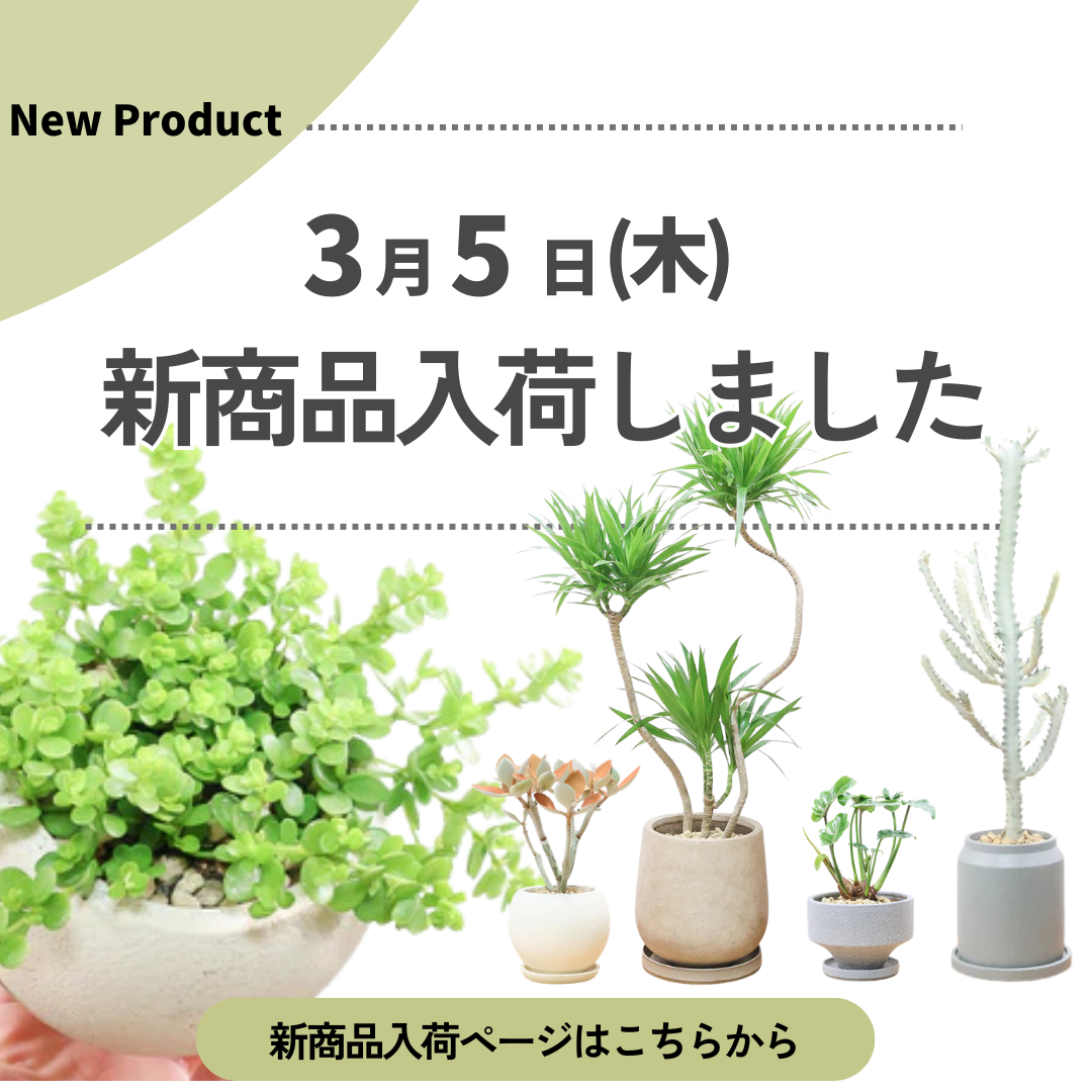 新商品入荷ページの画像