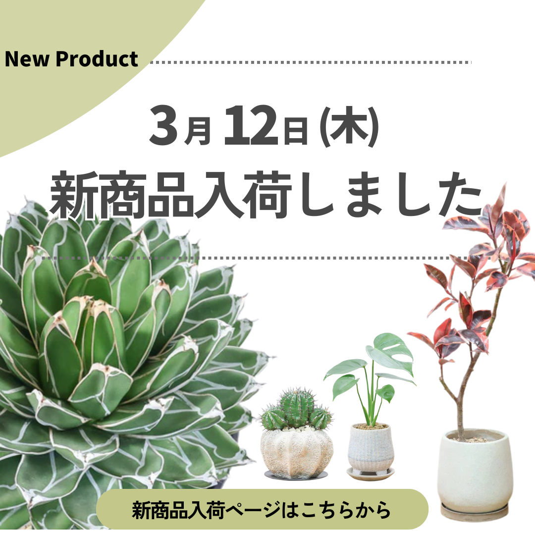 新商品入荷ページの画像