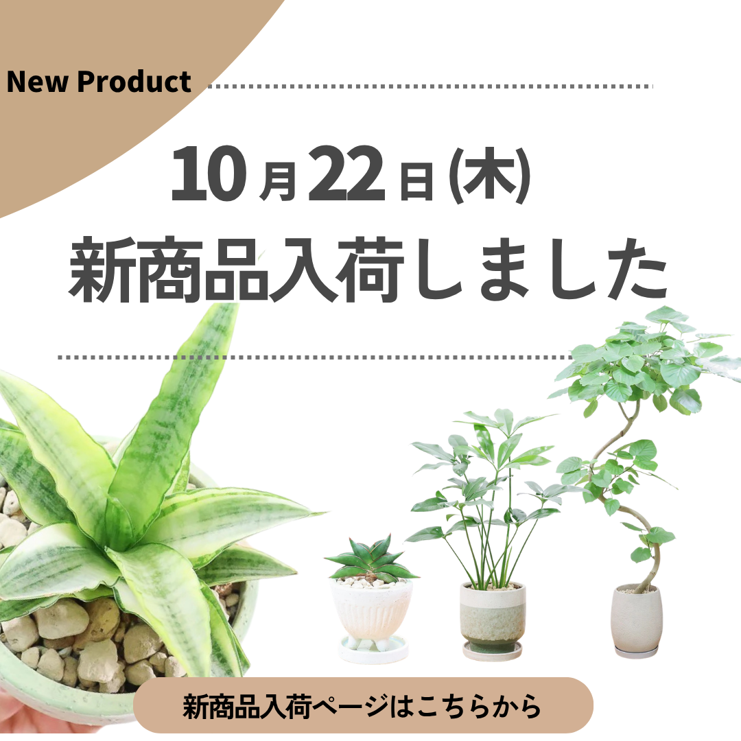 新商品入荷ページの画像