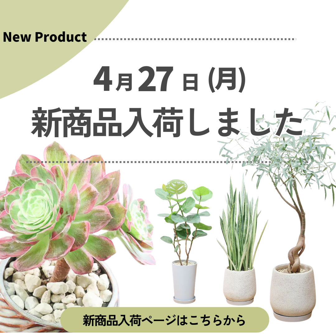 新商品入荷ページの画像