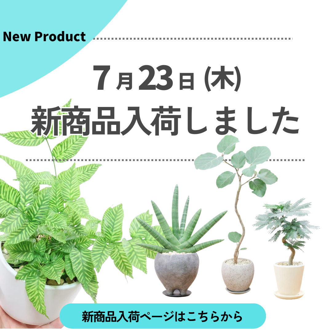 新商品入荷ページの画像