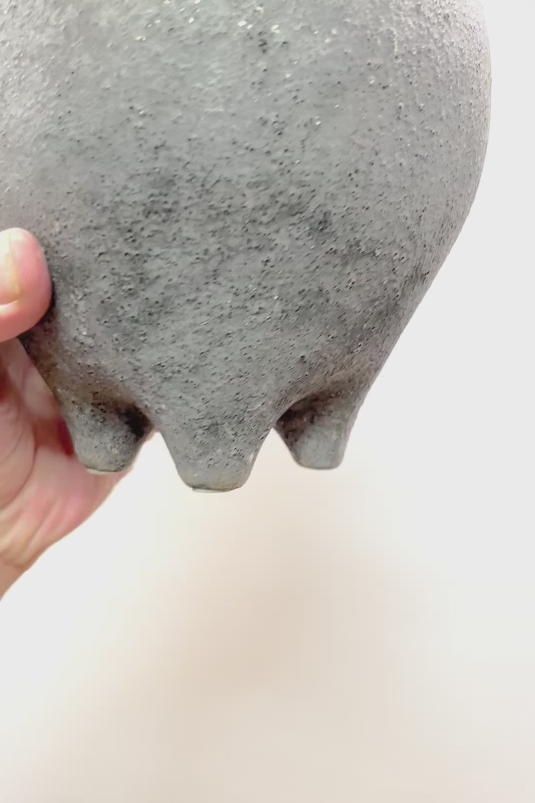 【サンスベリア ボンセレンシス】かわいい脚付きのPOTです♪扇状に生長するフォルムがカッコいいボンセレンシス！POTとの相性もGOOD！