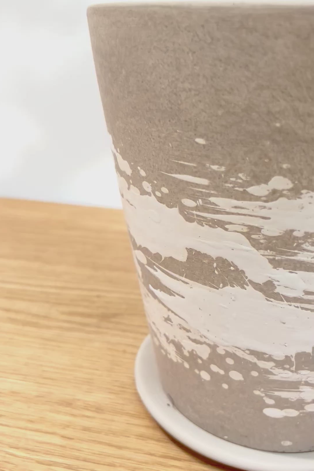 【エバーフレッシュ】シンプルでスタイリッシュ！この樹形は絶対にお得だと思います！